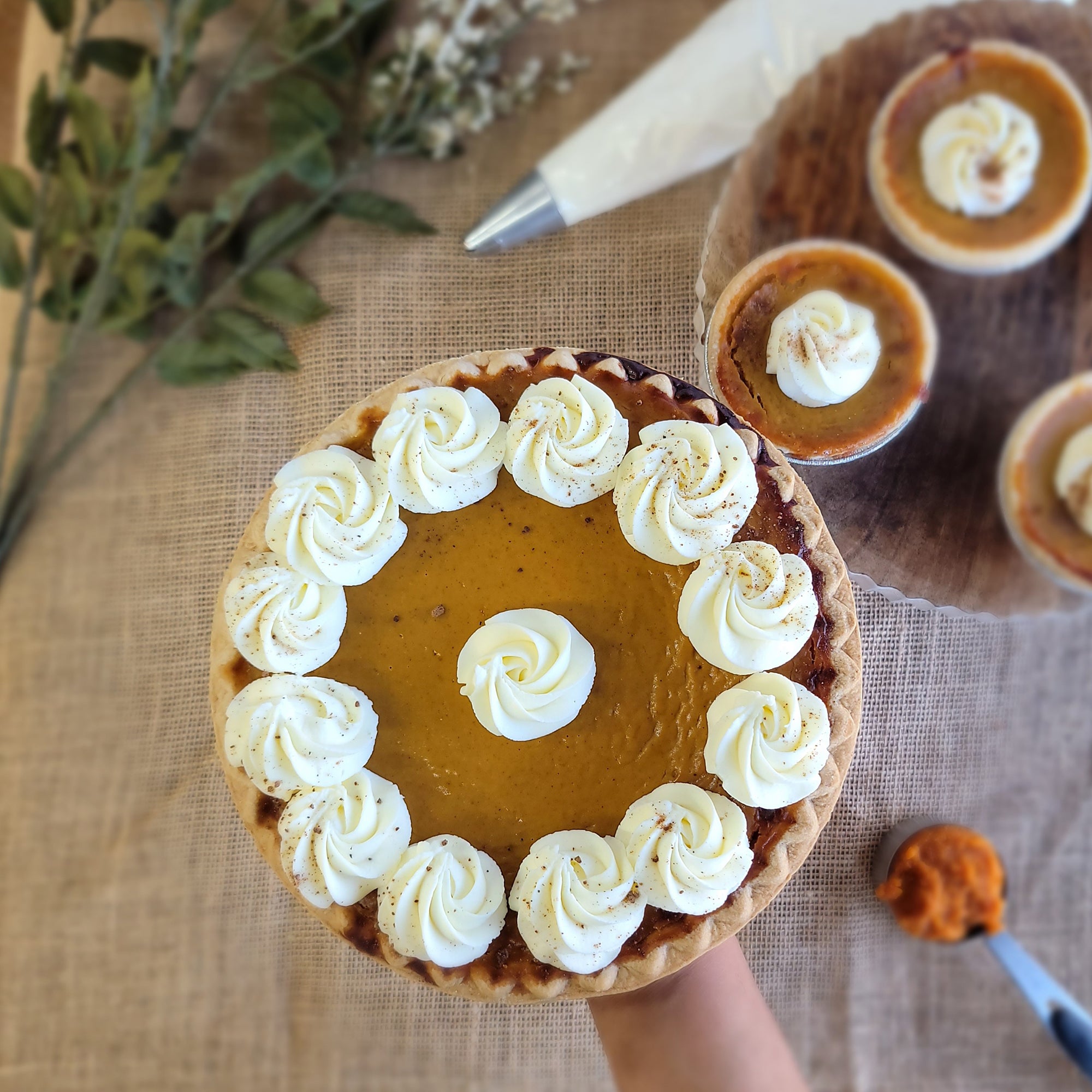 Pumpkin Pie